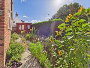 Side Garden- click for photo gallery